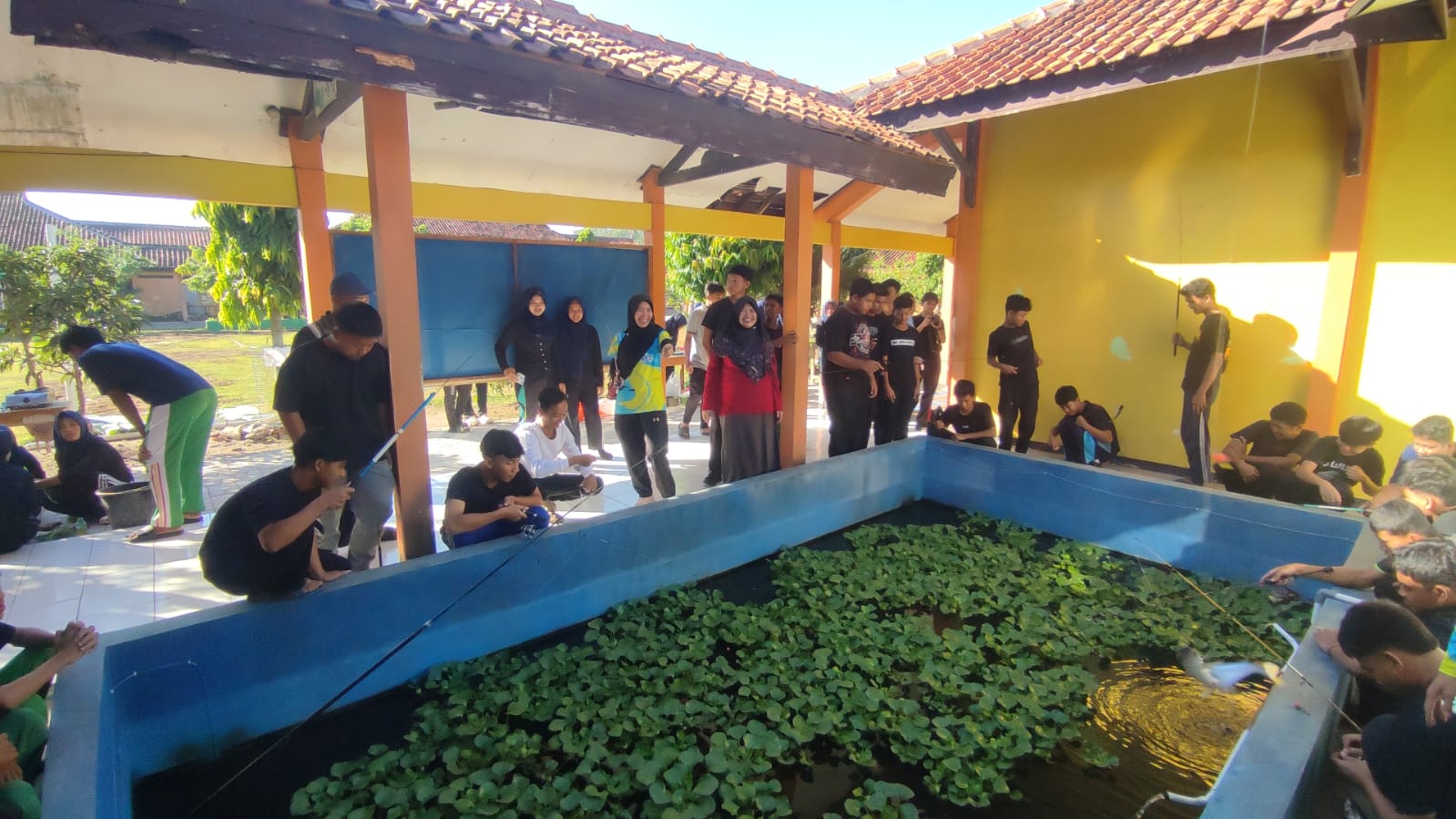 SMAN 1 Buluspesantren Gelar Panen Raya Kolam Ikan, Rayakan HUT Ke-23 Penuh Kebersamaan dan Edukasi Karakter